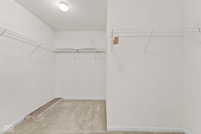 spacious closet featuring carpet floors