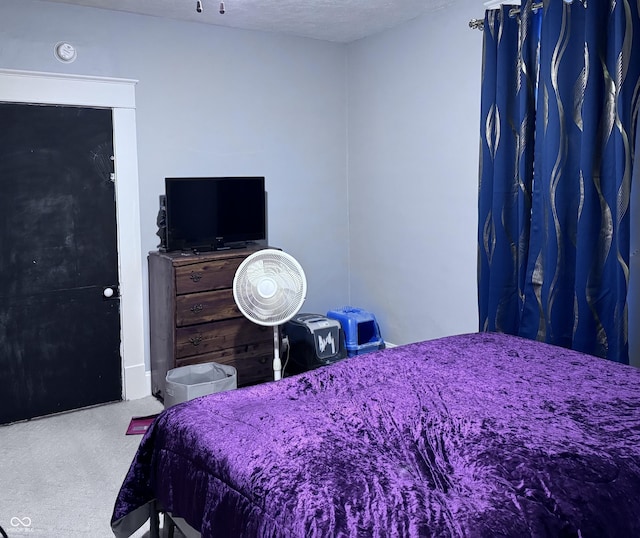 bedroom featuring carpet and a textured ceiling