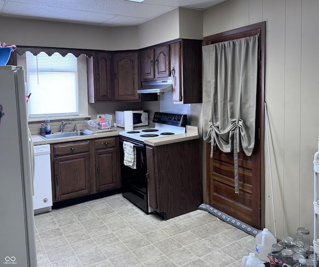 kitchen featuring dark brown cabinetry, sink, white appliances, and a drop ceiling