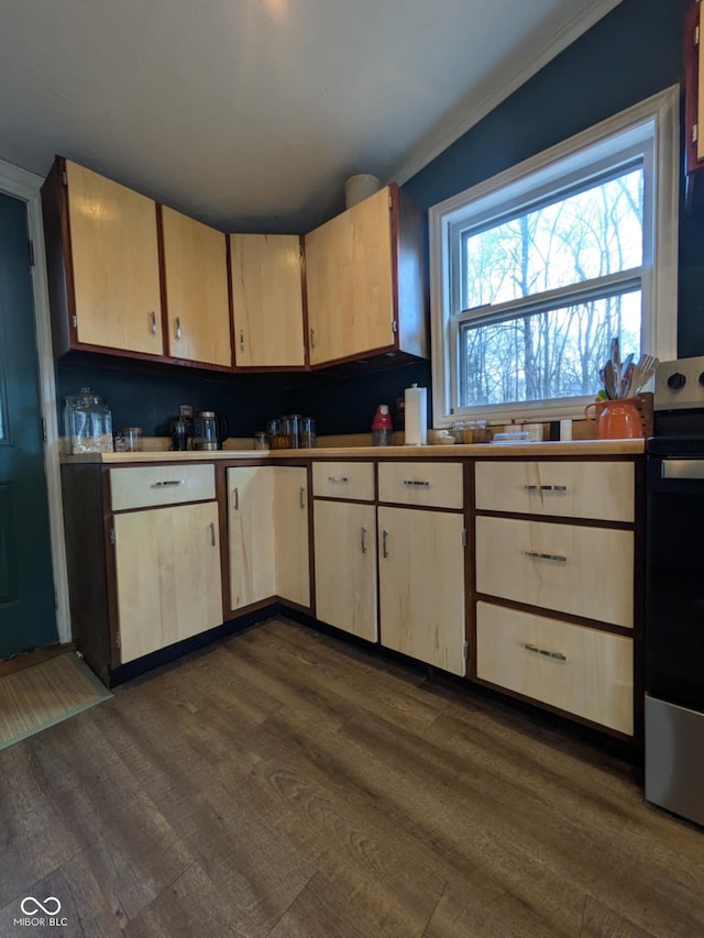 kitchen with dark hardwood / wood-style flooring, stainless steel electric range, and light brown cabinets