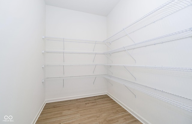 walk in closet with hardwood / wood-style floors