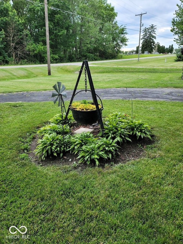 view of home's community featuring a yard