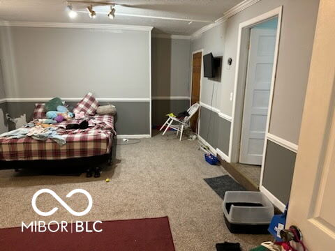 314 E Barachel Ln, Greensburg, IN 47240 - carpeted bedroom featuring baseboards, track lighting, and crown molding