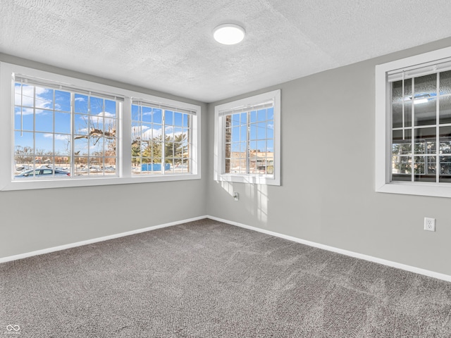 unfurnished room featuring carpet floors and a textured ceiling