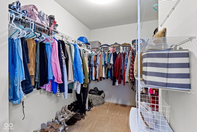 walk in closet featuring carpet floors