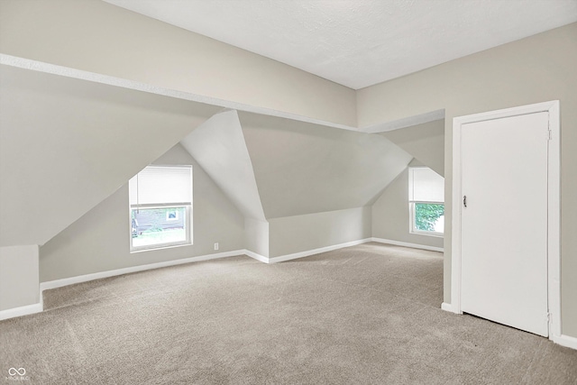 952 N Concord St, Indianapolis, IN 46222 - additional living space with carpet floors and lofted ceiling