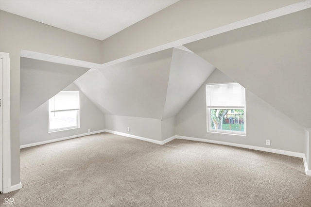 952 N Concord St, Indianapolis, IN 46222 - additional living space featuring carpet flooring and lofted ceiling