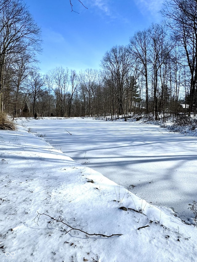 view of yard layered in snow