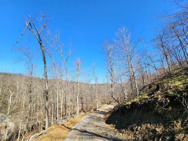 LOT5 Goat Hollow Ests, Martinsville, IN 46151