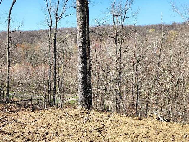 LOT5 Goat Hollow Ests, Martinsville, IN 46151