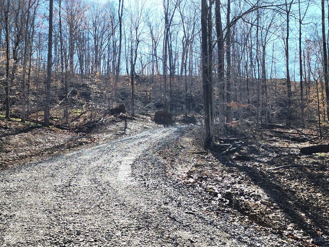 LOT5 Goat Hollow Ests, Martinsville, IN 46151
