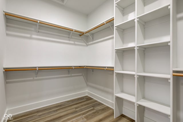 spacious closet featuring wood finished floors