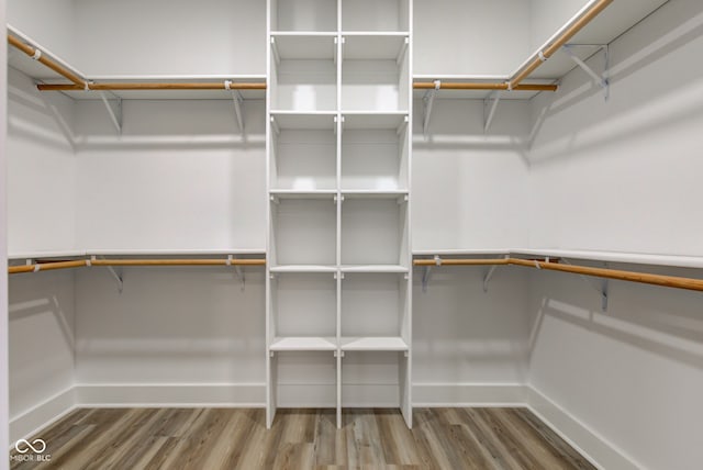 walk in closet featuring wood finished floors