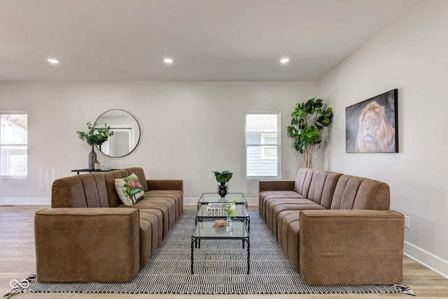 living room with baseboards, wood finished floors, and recessed lighting