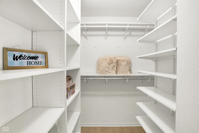 walk in closet featuring wood finished floors