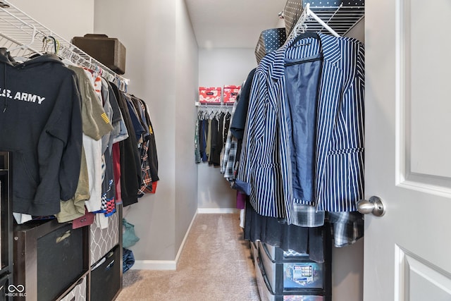 spacious closet featuring carpet