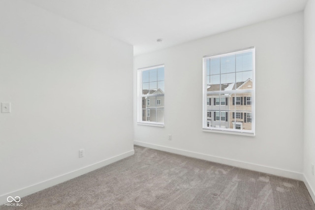 spare room featuring plenty of natural light and light carpet