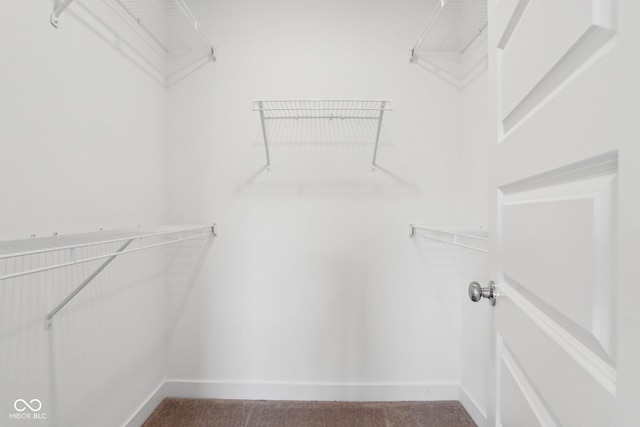 walk in closet featuring carpet flooring