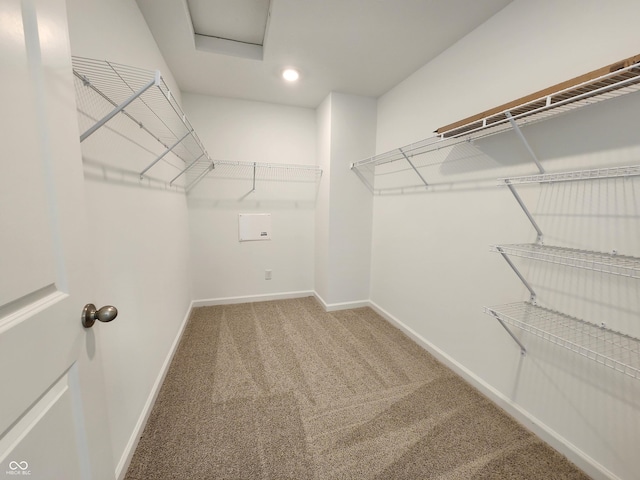 walk in closet featuring attic access and carpet floors