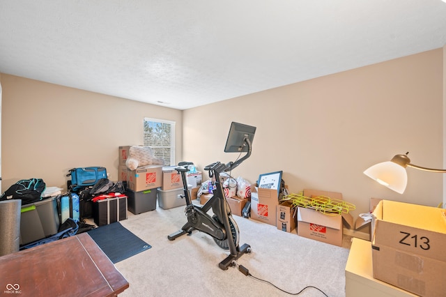 exercise room featuring carpet and a textured ceiling