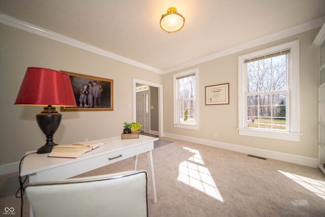 carpeted office space featuring visible vents, baseboards, and ornamental molding