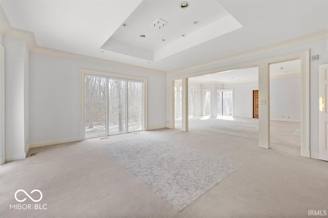 empty room featuring ornamental molding, light carpet, and a raised ceiling