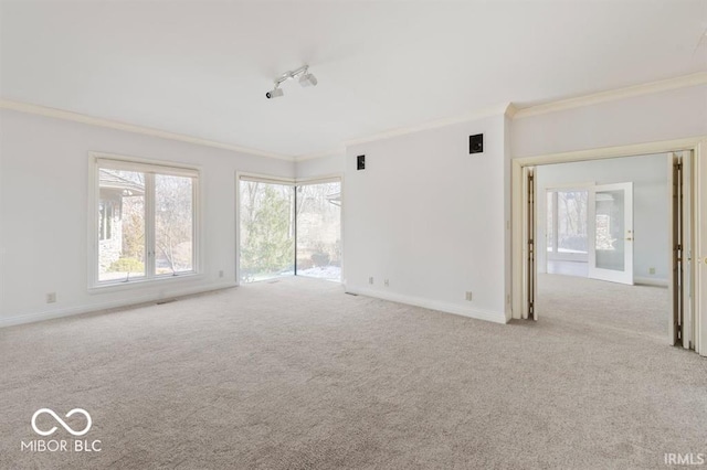 empty room with rail lighting, crown molding, and light colored carpet