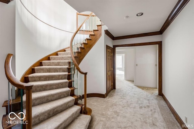 stairway with crown molding and carpet flooring