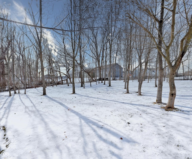 view of snowy yard