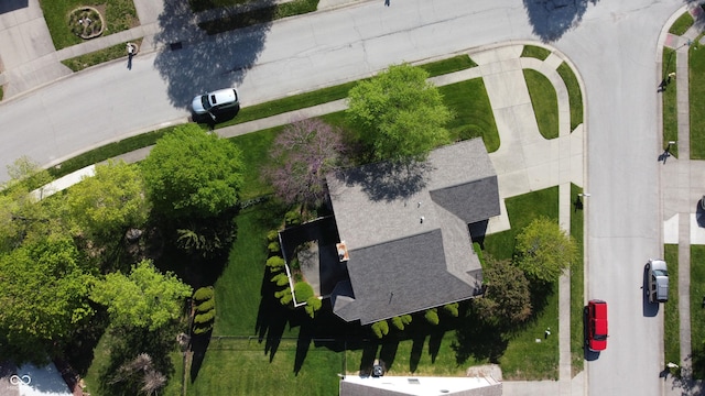 bird's eye view
