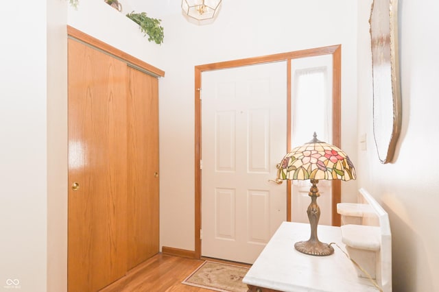 entrance foyer with light wood finished floors