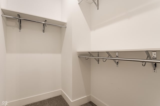 spacious closet with carpet floors