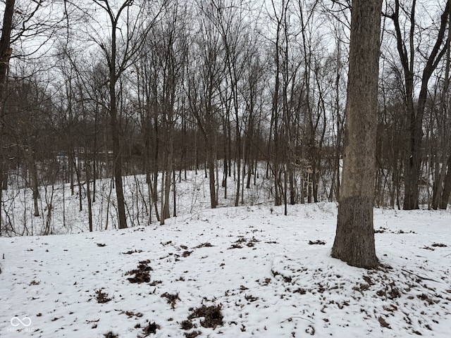 view of yard layered in snow