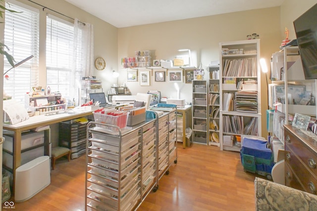 office featuring wood finished floors