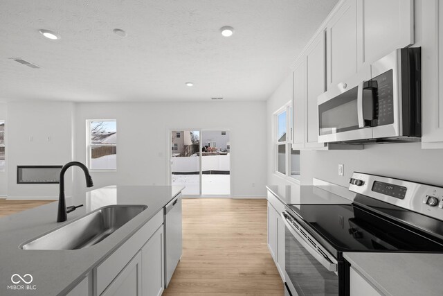 5119 Rolling Meadow Blvd, Indianapolis, IN 46237 - kitchen featuring light wood-style flooring, a sink, stainless steel appliances, and plenty of natural light