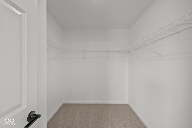 5119 Rolling Meadow Blvd, Indianapolis, IN 46237 - walk in closet featuring light colored carpet