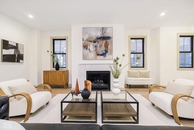 living room with a premium fireplace, a wealth of natural light, and wood finished floors