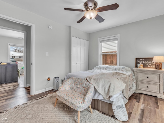 bedroom with dark wood-style floors, multiple windows, baseboards, and a closet