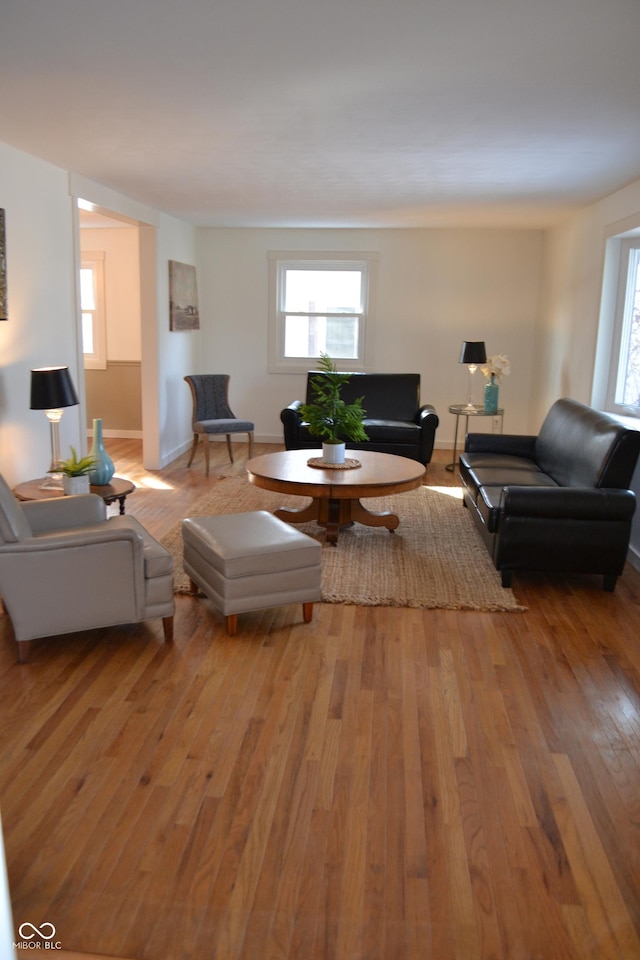 living room featuring light hardwood / wood-style flooring and a wealth of natural light