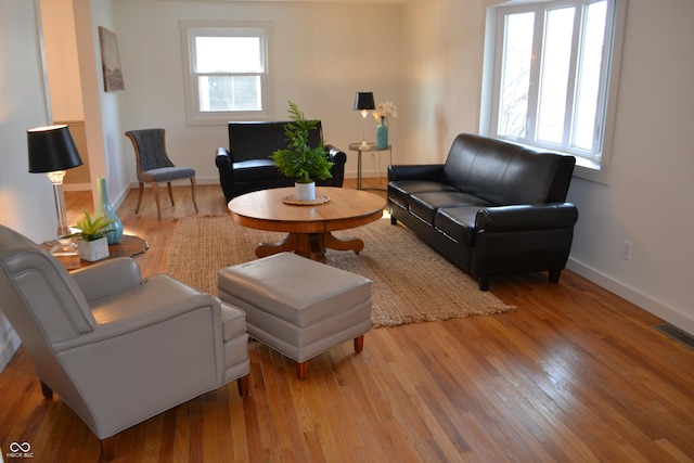 living room with light wood-type flooring and plenty of natural light