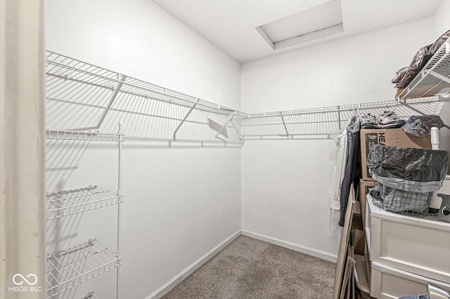 walk in closet with carpet floors and attic access