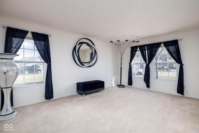 unfurnished room featuring carpet flooring and a textured ceiling