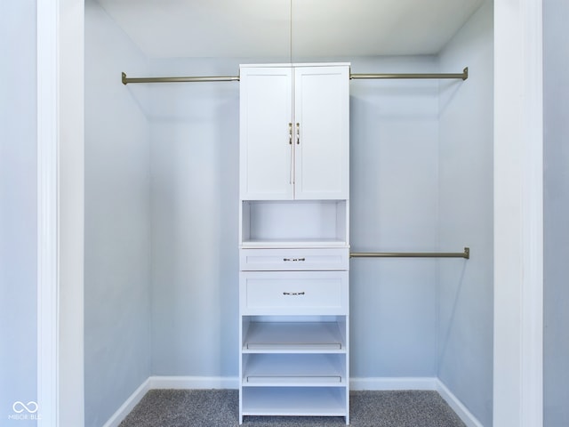 walk in closet with carpet floors