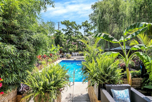 pool with a patio area