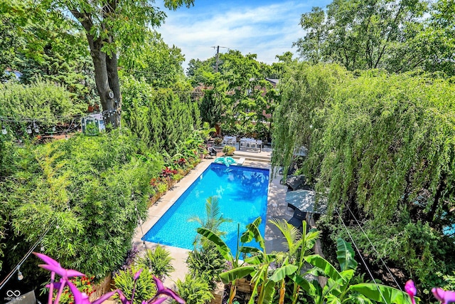 pool featuring a patio area