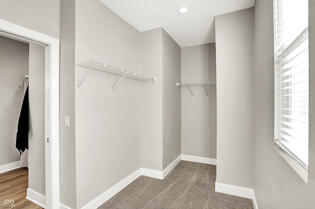 walk in closet with carpet floors