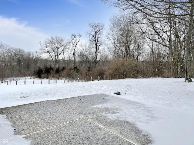 view of yard covered in snow