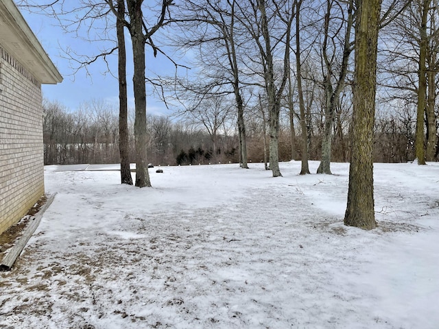 view of yard layered in snow