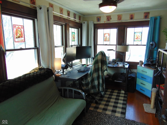 office space with dark wood finished floors