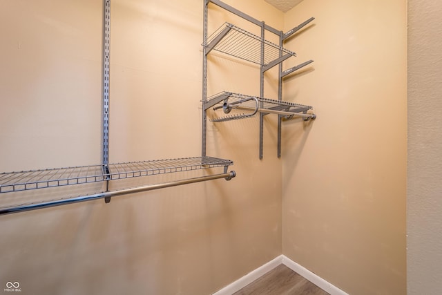 walk in closet featuring wood finished floors